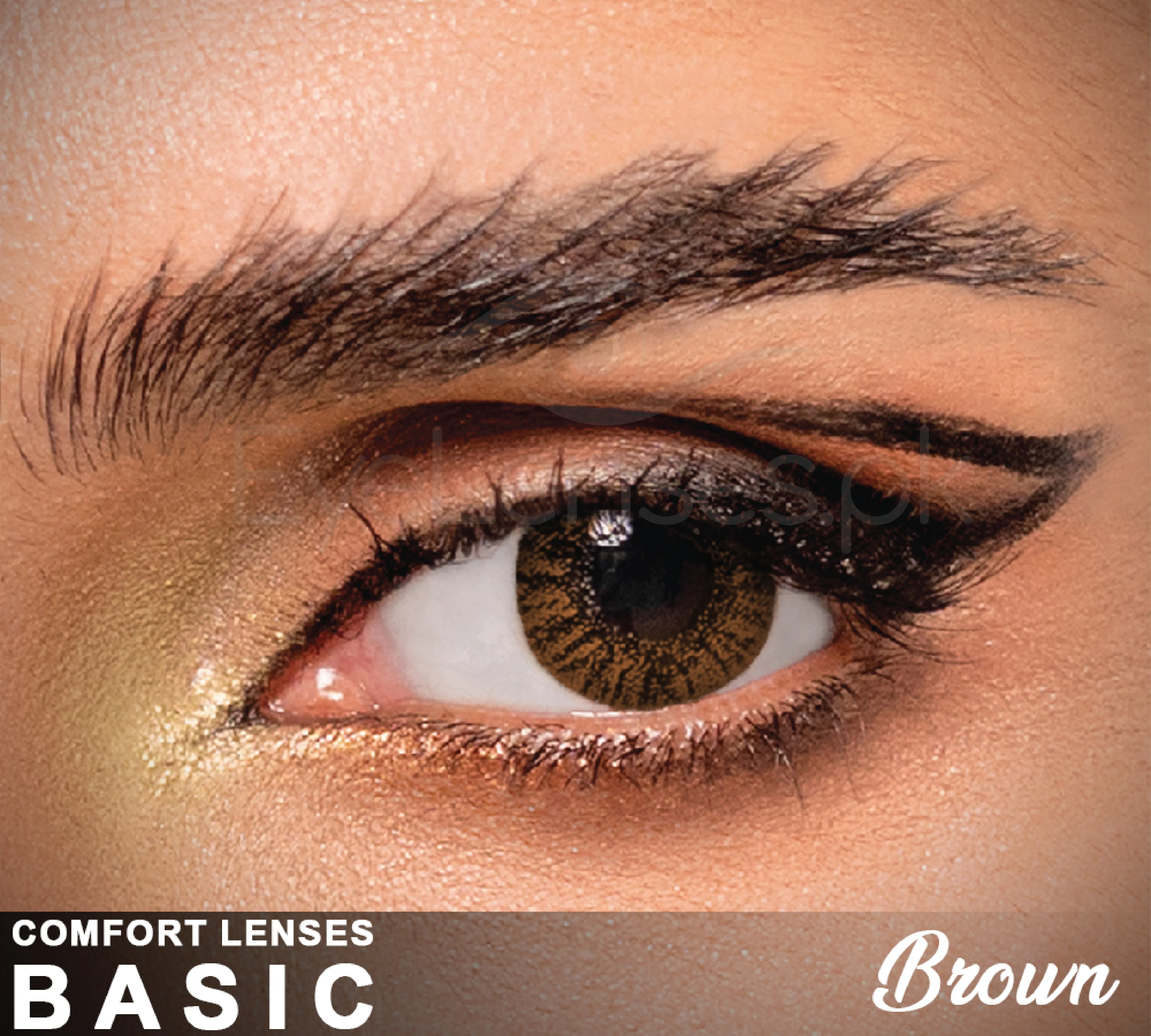 Comfort   Basic WebP 03