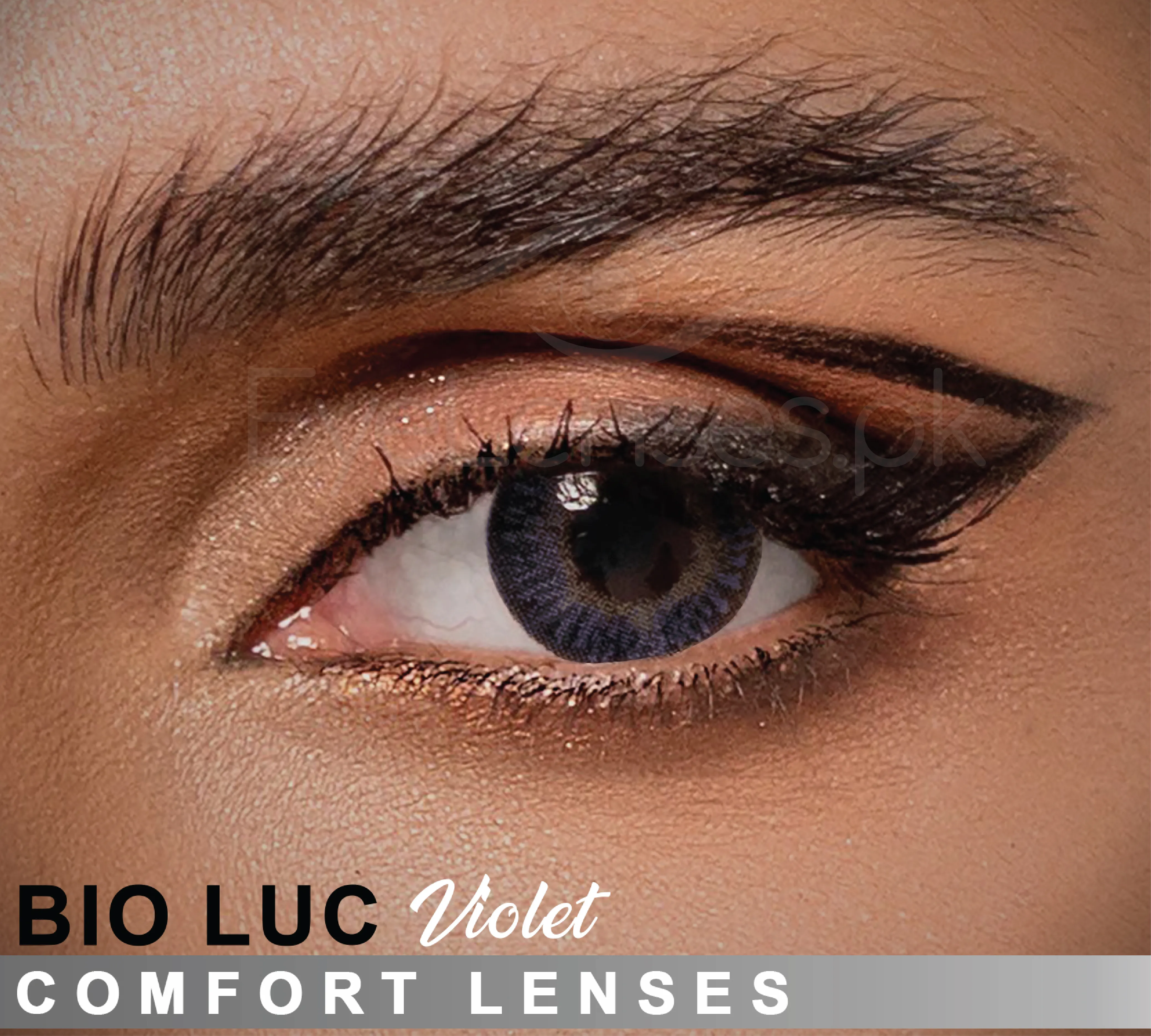 Comfort   BioLuc WebP 01
