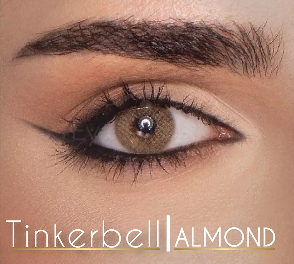 Tinker Bell WebP 11