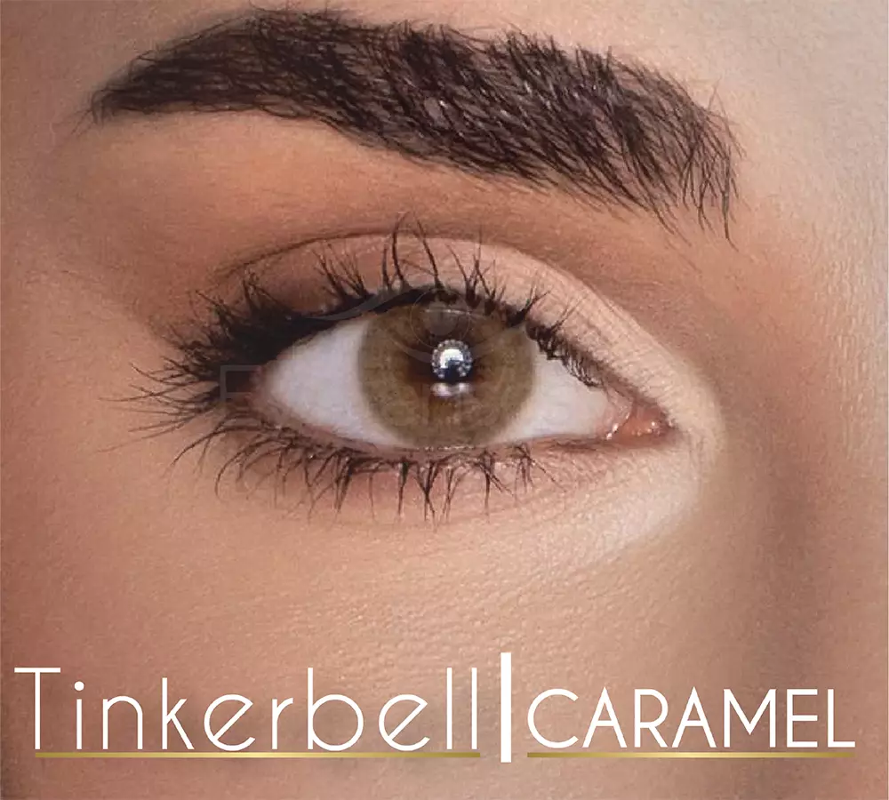 Tinker Bell WebP 12