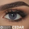 3D Colors WebP 05 copy.webp