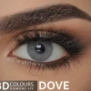3D Colors WebP 07 copy.webp