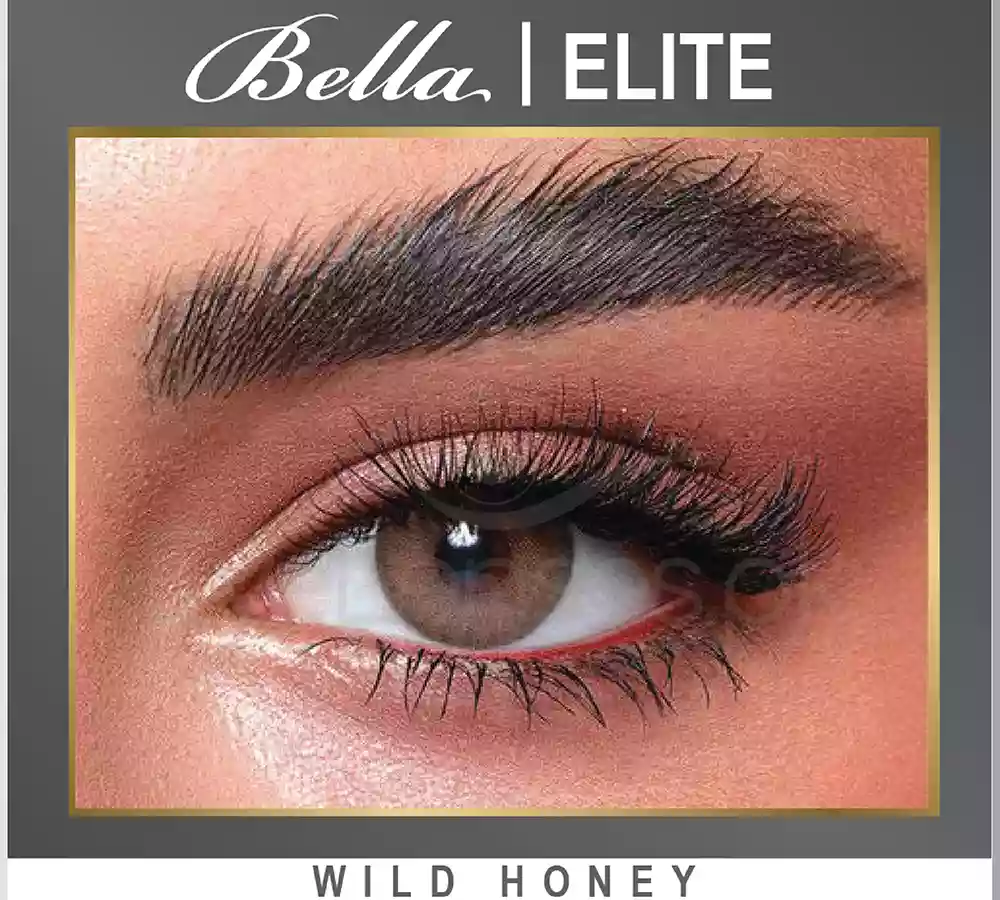 Bella Elite10.webp