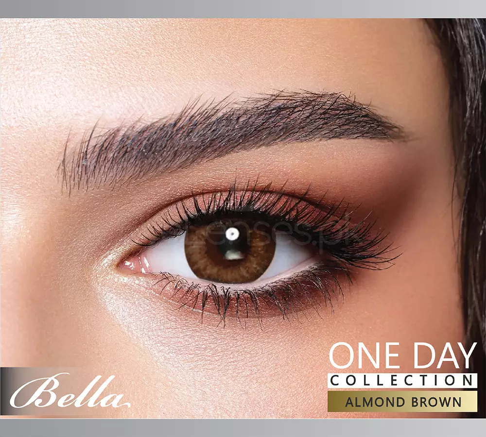 Rosewood One Day Collection