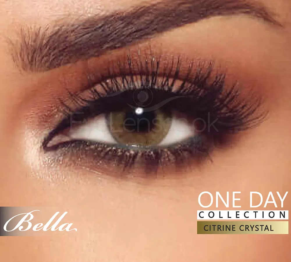 Bella One Day Collection WebP 04.webp