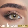 Luminous WebP 03 scaled 1.webp