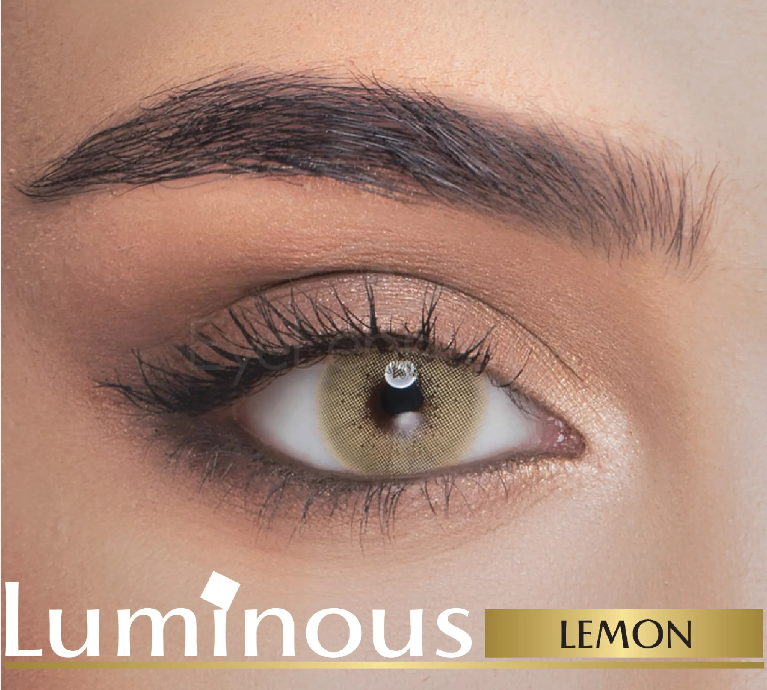 Luminous WebP 03 scaled 1.webp