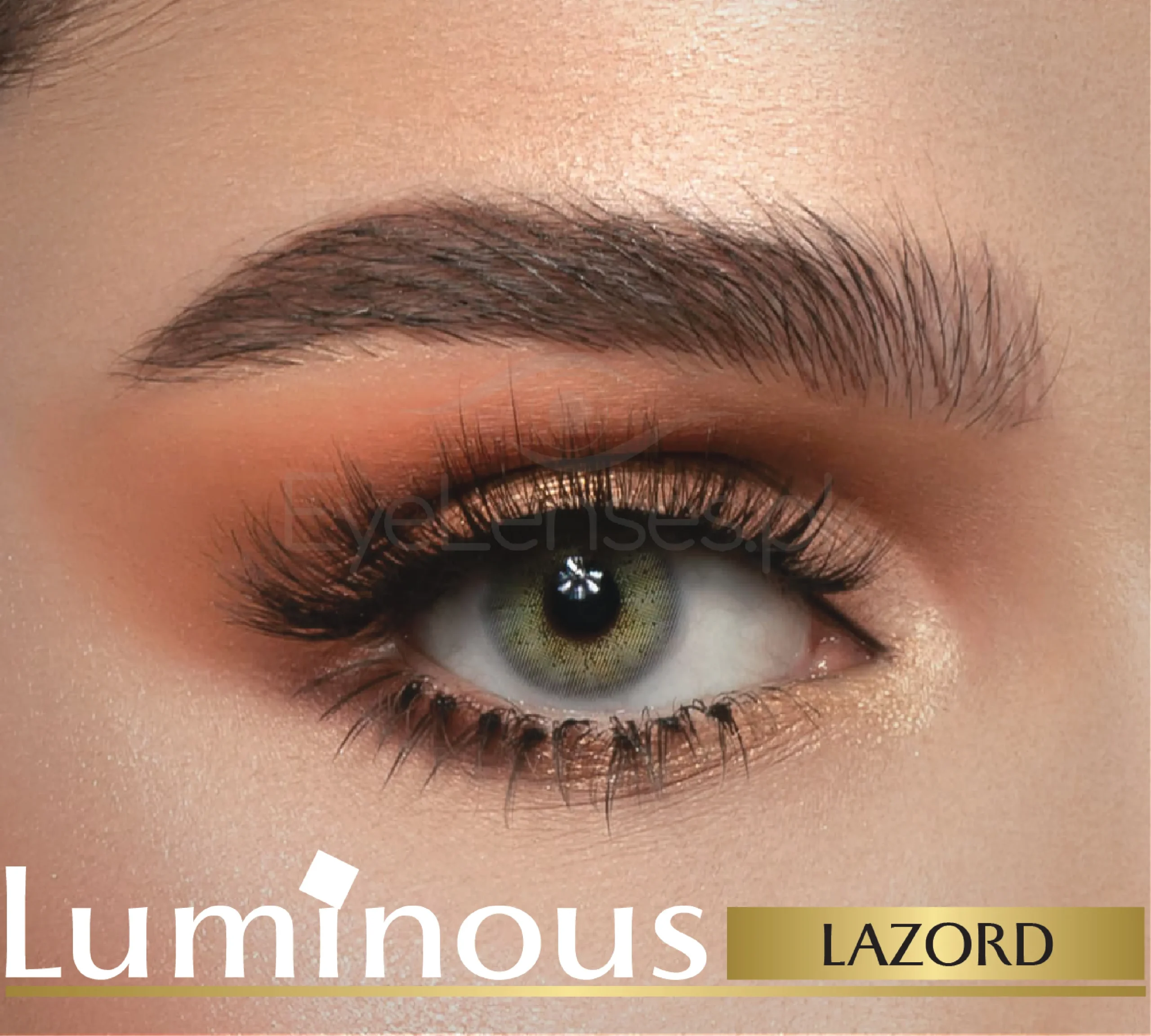 Luminous WebP 06 scaled 1.webp