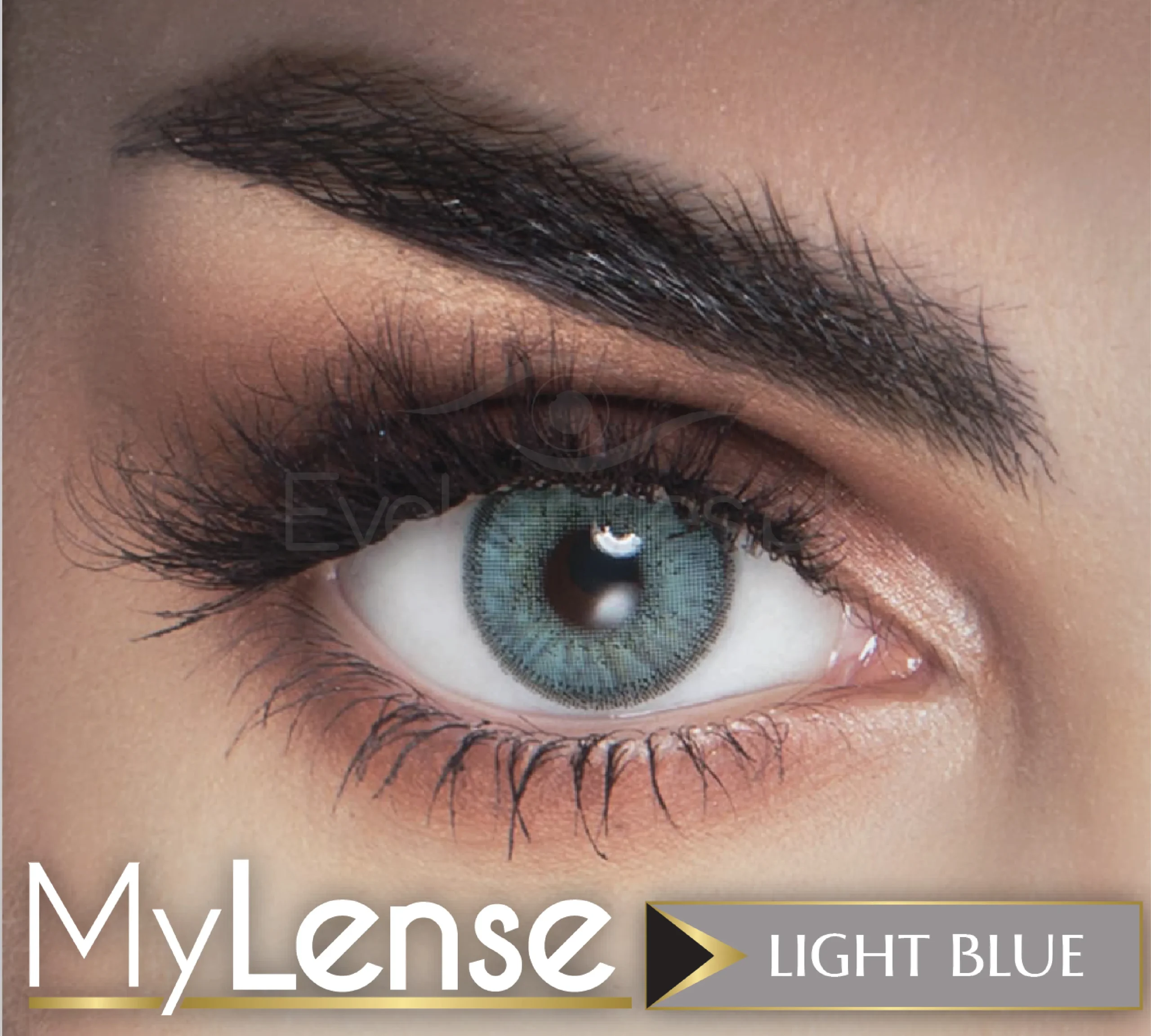My Lense WebP 01 scaled 1.webp