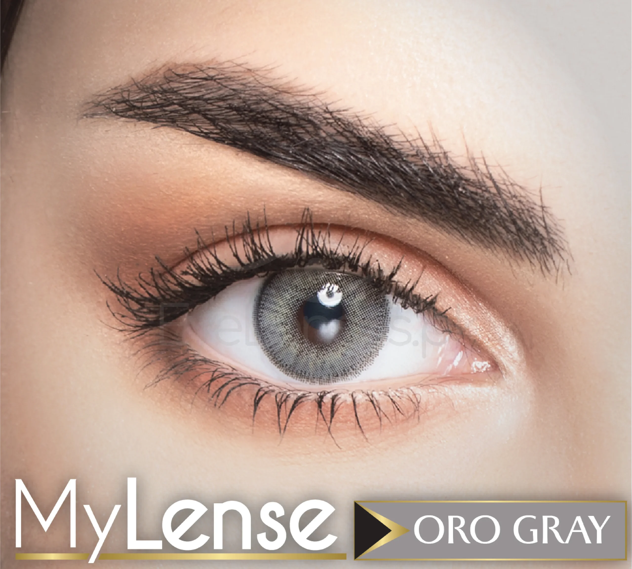 My Lense WebP 02 scaled 1.webp