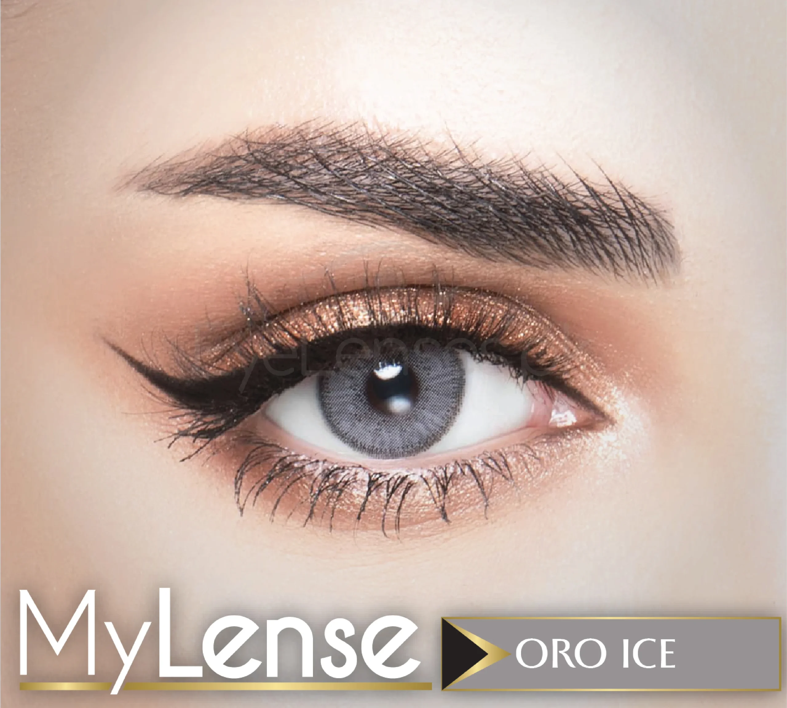 My Lense WebP 04 scaled 1.webp