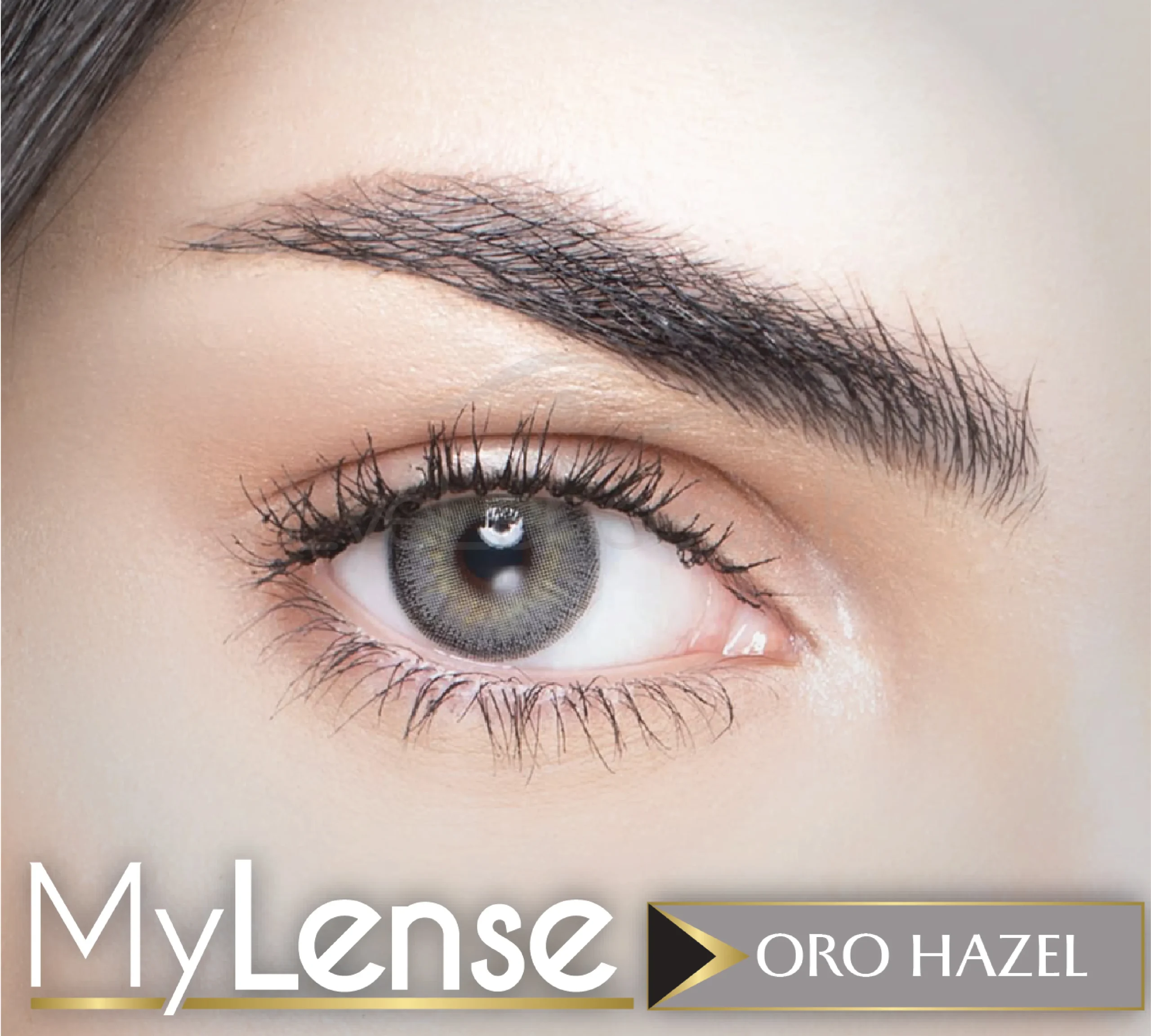 My Lense WebP 05 scaled 1.webp