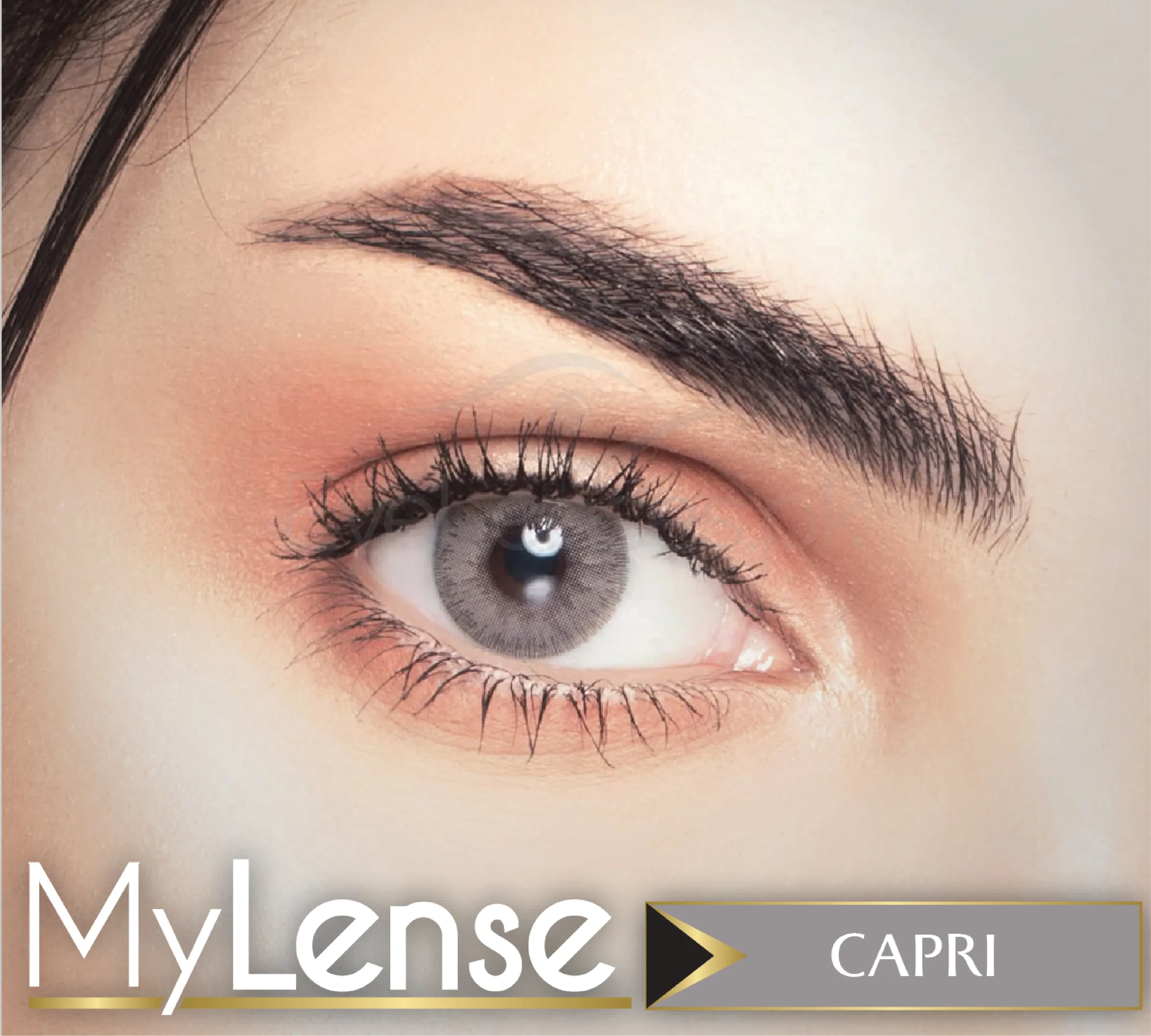 My Lense WebP 07 scaled 1.webp