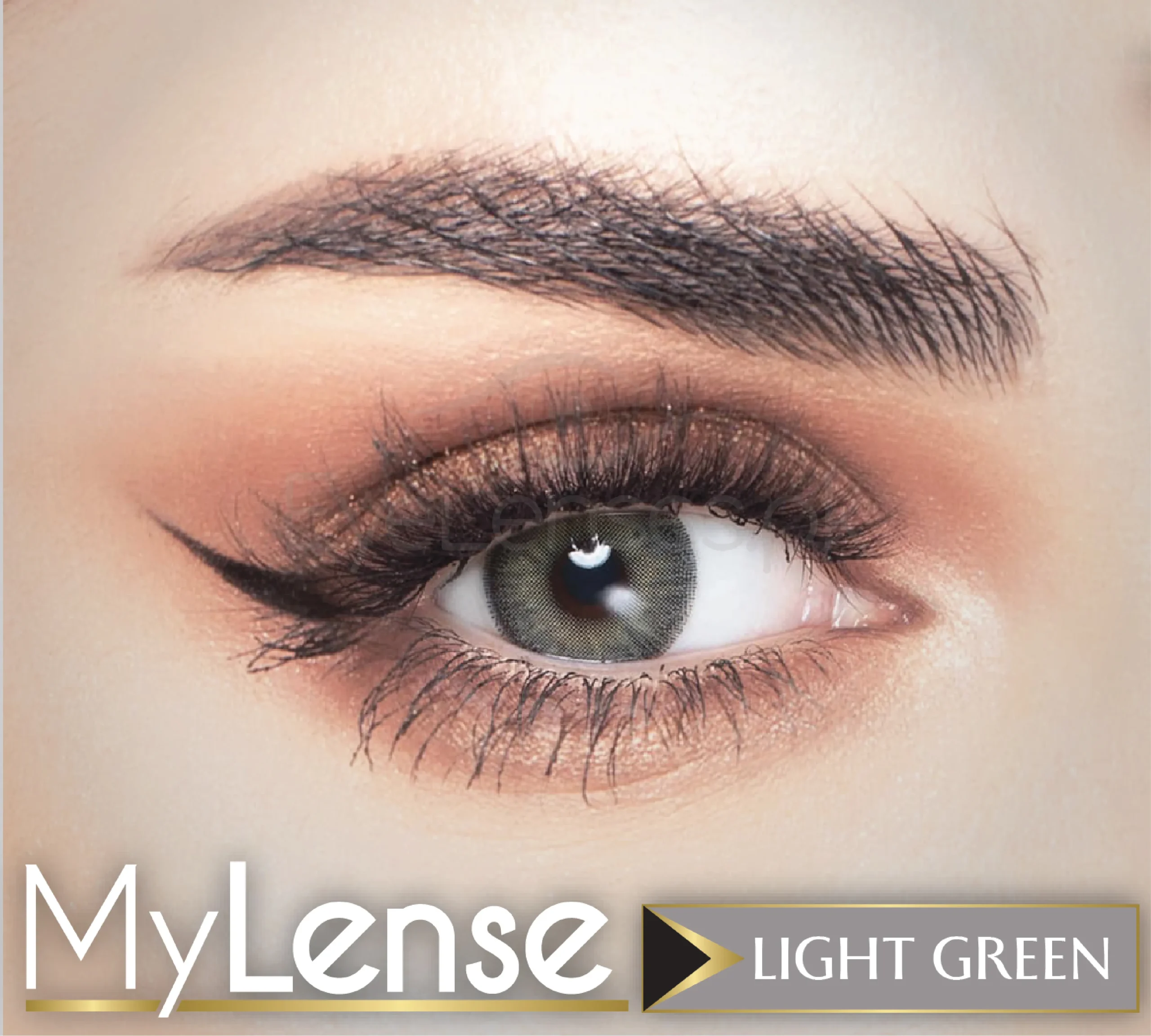 My Lense WebP 08 scaled 1.webp