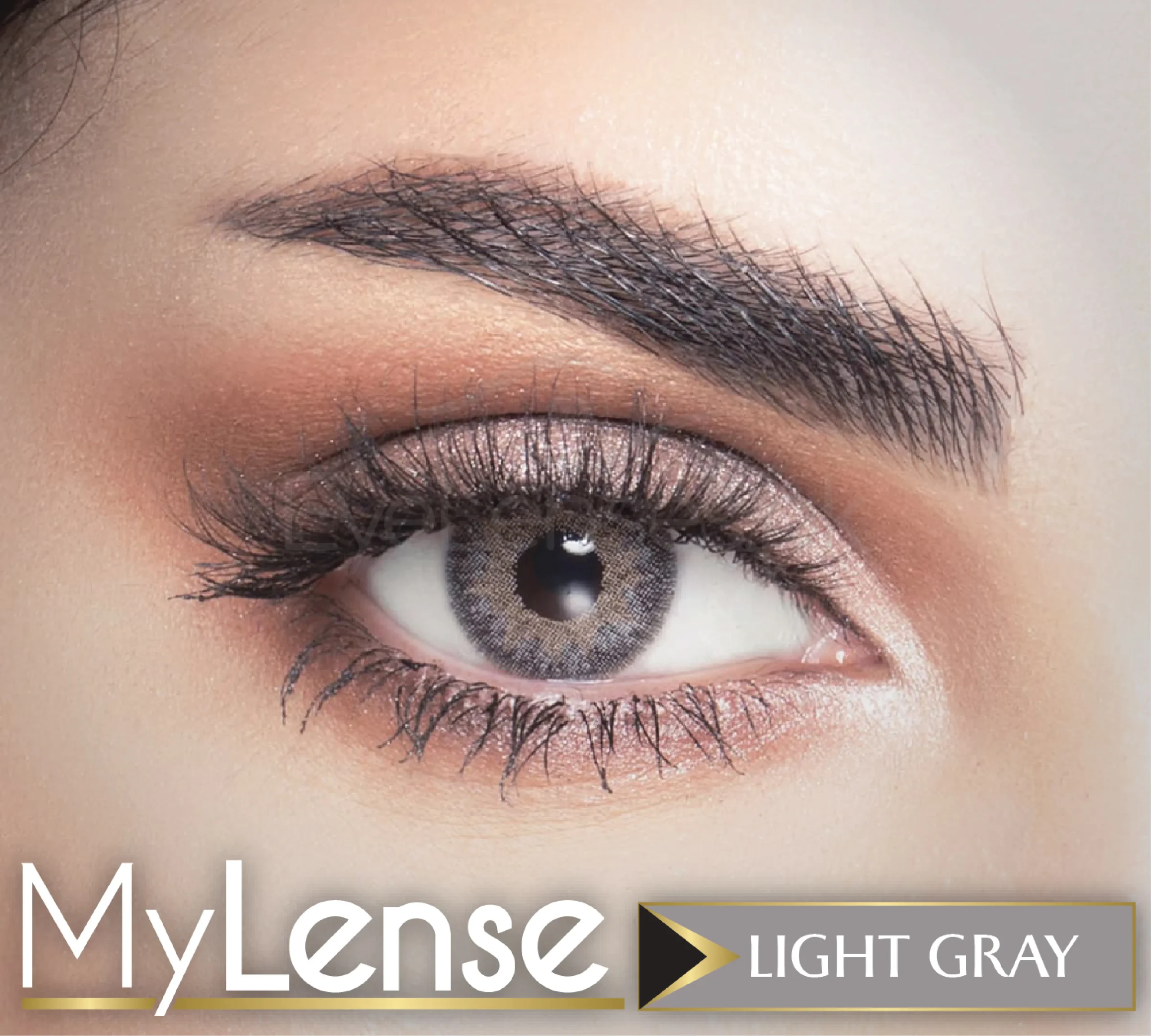 My Lense WebP 10 scaled 1.webp