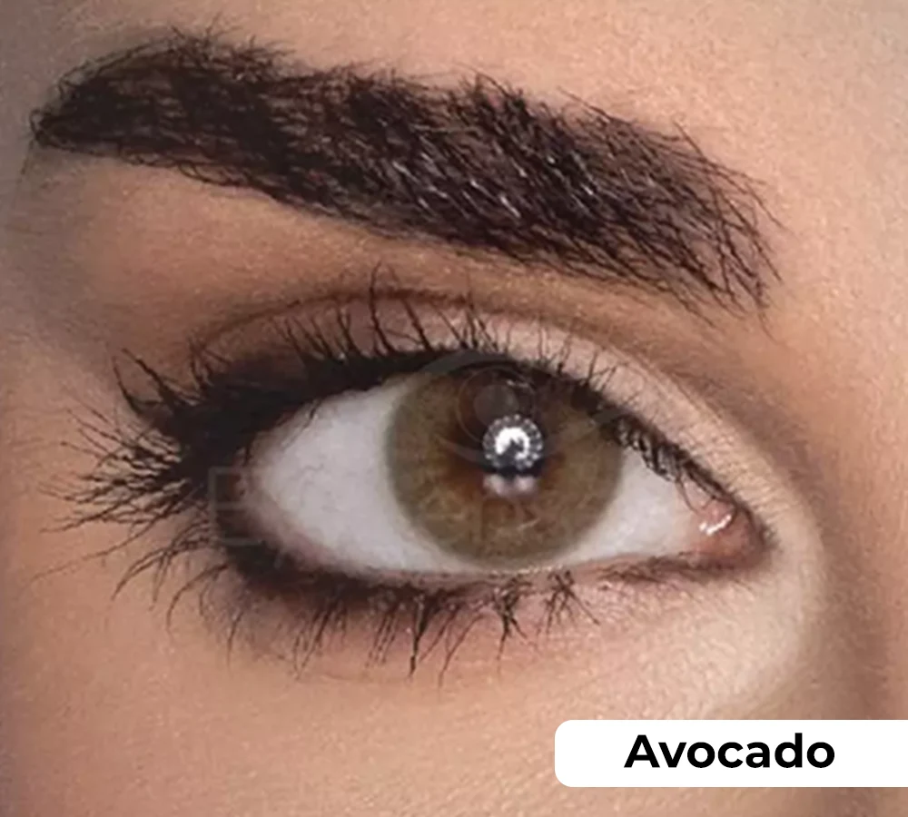 Avocado