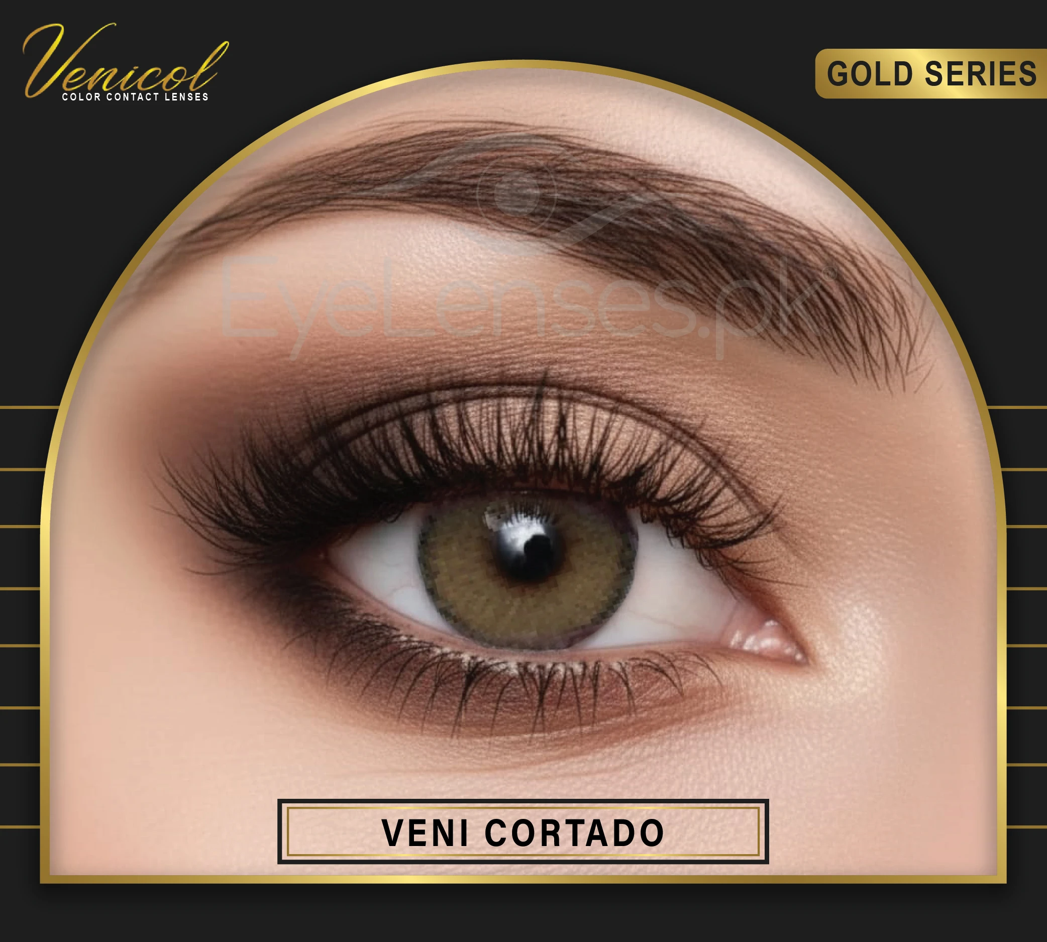 venicol GOLD 02