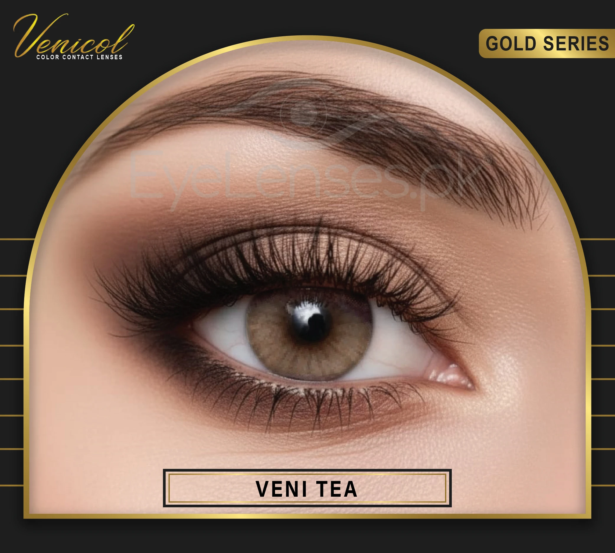 venicol GOLD 08